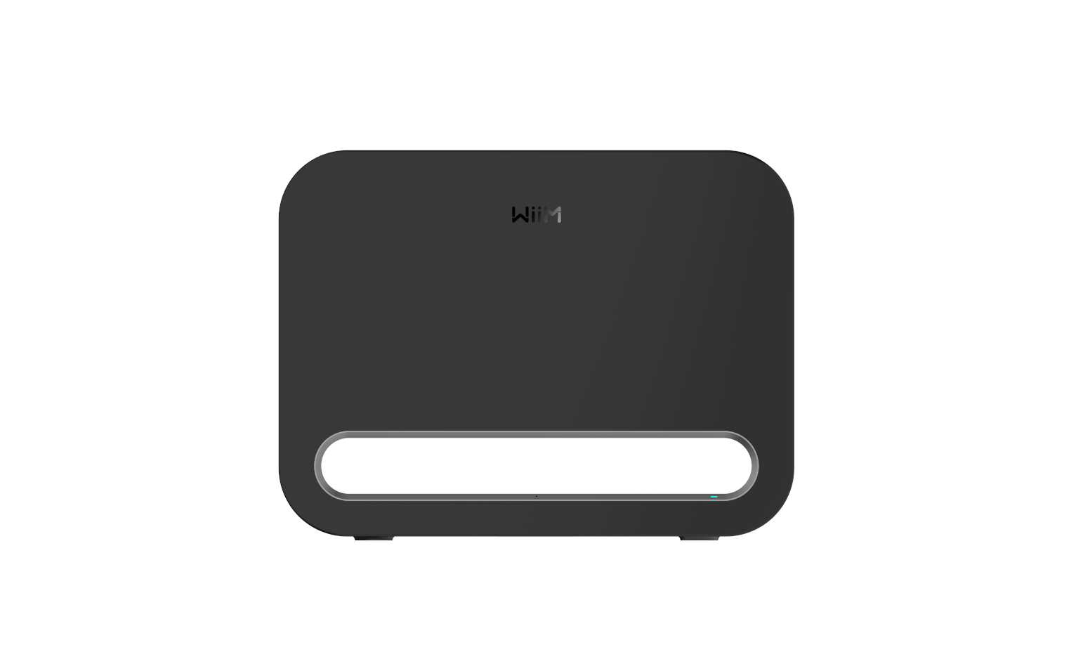  WiiM Sub Pro. 
