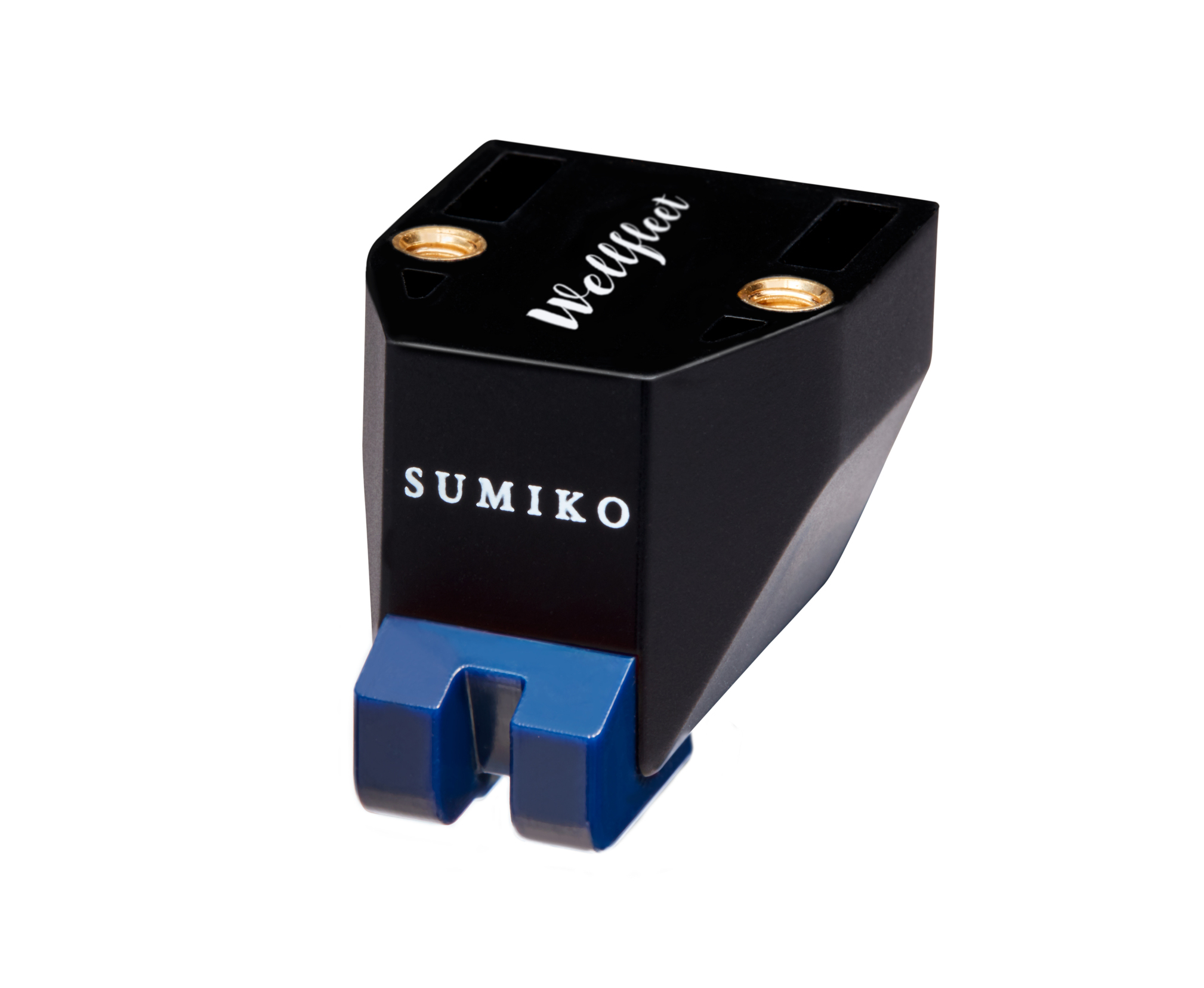 Sumiko Wellfleet