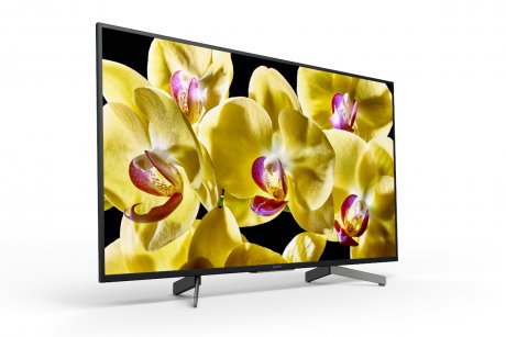 Sony FWD-43X80G/T