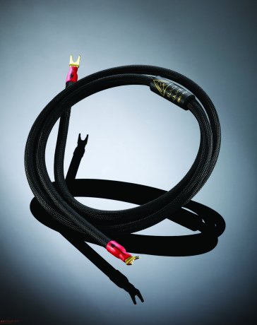Cable Shunyata Research Black Mamba