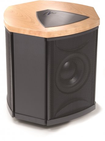 Subwoofer activo MartinLogan Depth i