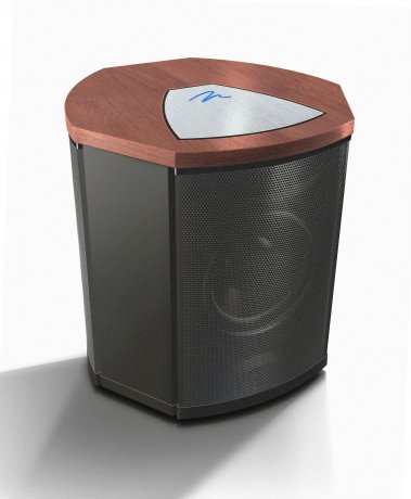 Subwoofer activo MartinLogan Descent i