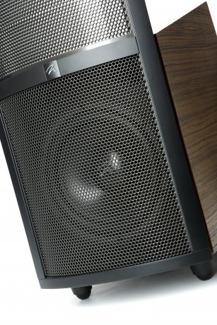 Caja acústica híbrida MartinLogan Ethos