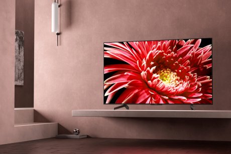 Sony FWD-55X85G/T