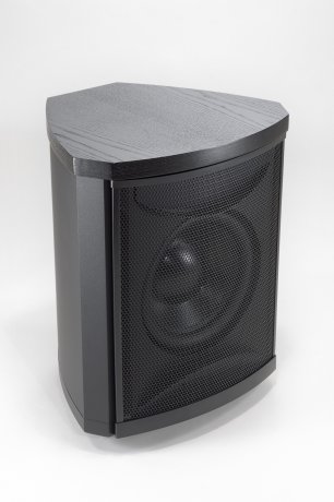 Subwoofer activo MartinLogan Grotto i