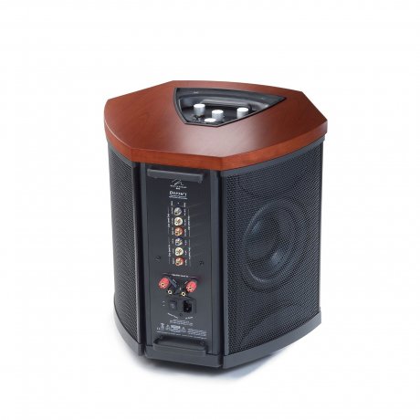 Subwoofer activo MartinLogan Depth i