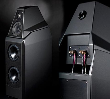 Cajas acústicas Wilson Audio Sasha W/P