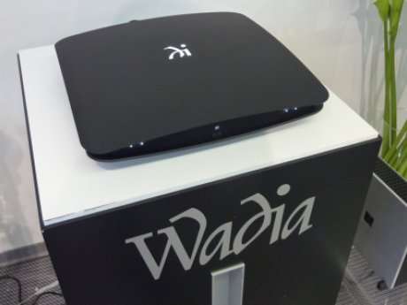 WADIA INTUITION