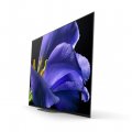 Sony FWD-55AG9/T