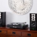 McIntosh MTI100