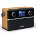 Roberts Stream 94i
