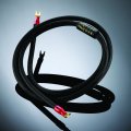 Cable Shunyata Research Black Mamba