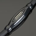 Transparent Audio Premium PowerLink
