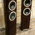 Cajas acústicas Tannoy Definition DC10T