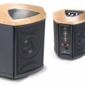 Subwoofer activo MartinLogan Depth i
