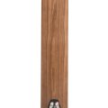 MartinLogan F20