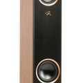 MartinLogan F20