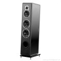  Sonus Faber Chameleon T