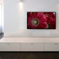 MartinLogan Stealth Architectural Edge