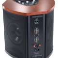 Subwoofer activo MartinLogan Descent i