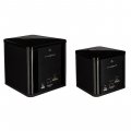MartinLogan BalancedForce 210