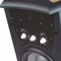 Subwoofer activo MartinLogan Descent i