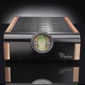 Etapa de potencia estereofónica D’Agostino Momentum Stereo