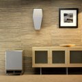 Subwoofer pasivo Wilson Audio WATCH Dog